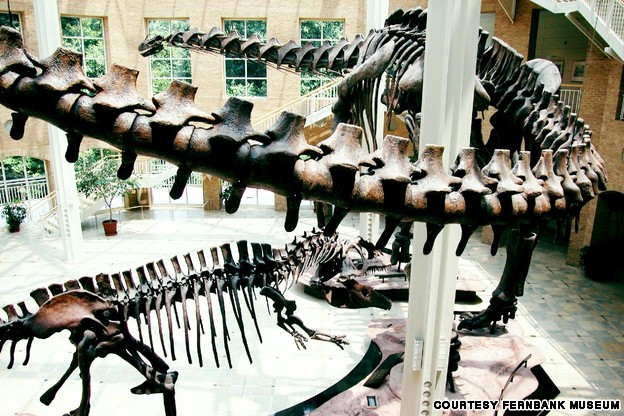 10 viện bảo t&agrave;ng khủng long r&ugrave;ng rợn nhất